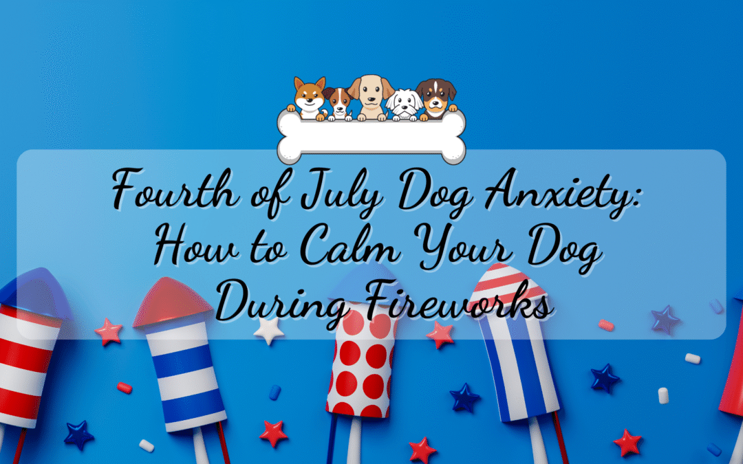 How to Calm Your Dog During Fireworks