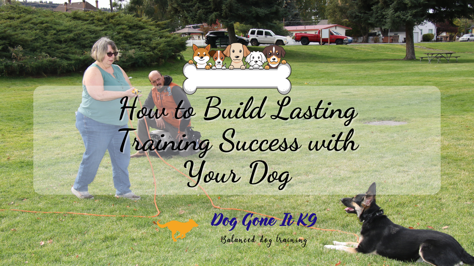 How to Build Lasting Training Success with Your Dog | God Gone It K9 Dog Training Blogs