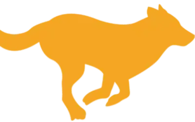 More Than Just Tricks: “The Dog Trainer’s Playbook” is Your Guide to a Deeper Bond