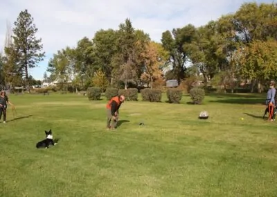 Dog Gone It K9 | Local Dog Trainers Oregon