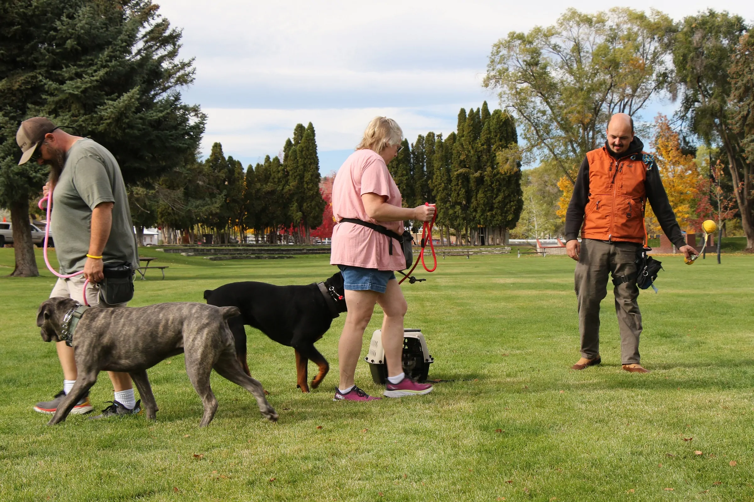 Local Dog Trainer Prineville & Central Oregon | Dog Gone It K9