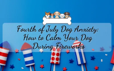 Fourth of July Dog Anxiety: How to Calm Your Dog During Fireworks