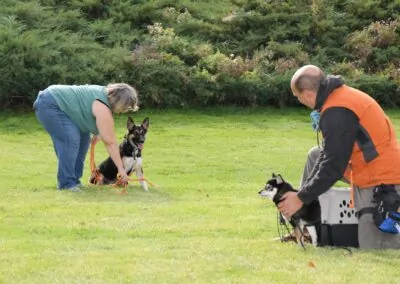 Dog Gone It K9 FAQs | Dog Training Frequently Asked Questions