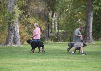 Local Dog Training Lessons Prineville & Central Oregon | Dog Gone It K9