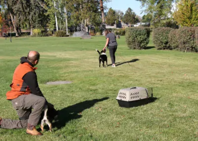 Dog Gone It K9 FAQs 1 | Dog Training Frequently Asked Questions