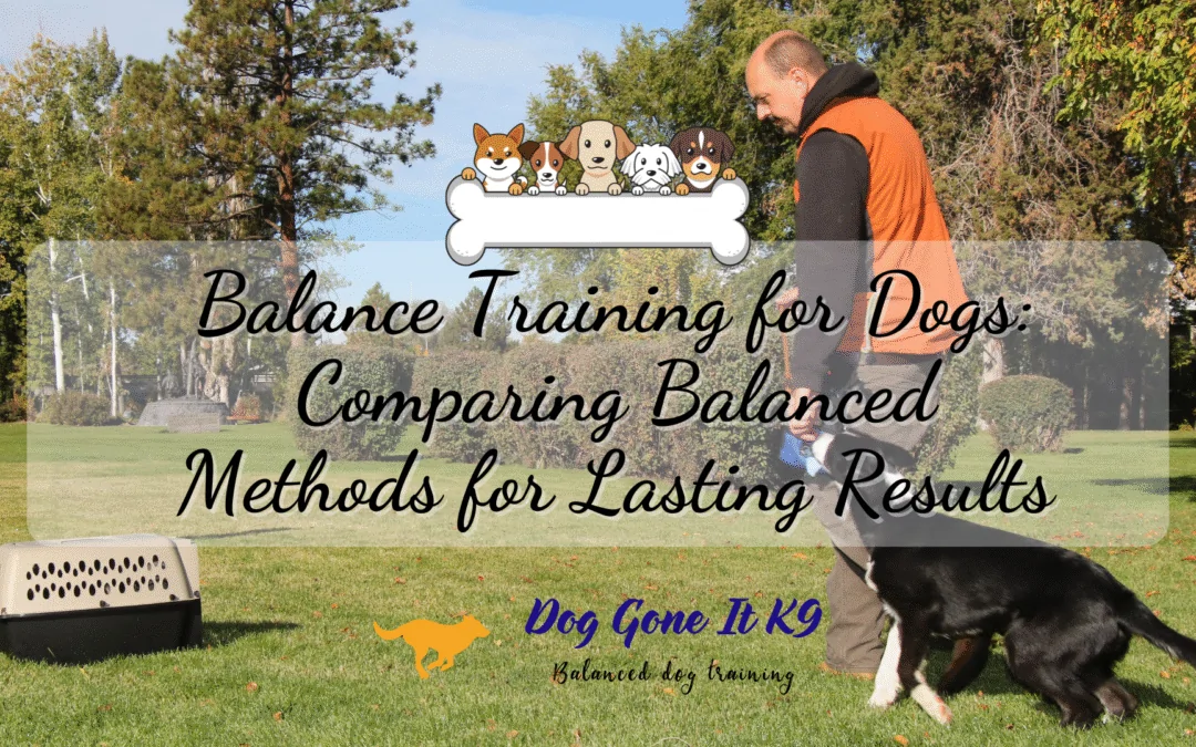 Balance Training for Dogs: Comparing Balanced Methods for Lasting Results