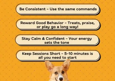 Dog Training Tips & Fun Facts1_Dog Gone It K9 LLC Dog Trainers in Prineville & Central Oregon