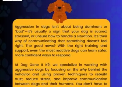 Dog Training Tips & Fun Facts2_Dog Gone It K9 LLC Dog Trainers in Prineville & Central Oregon