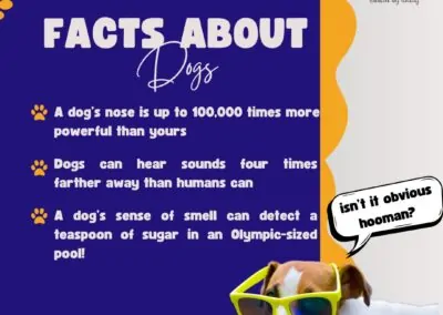 Dog Training Tips & Fun Facts4_Dog Gone It K9 LLC Dog Trainers in Prineville & Central Oregon