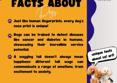 Dog Training Tips & Fun Facts5_Dog Gone It K9 LLC Dog Trainers in Prineville & Central Oregon