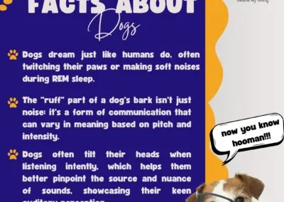Dog Training Tips & Fun Facts6_Dog Gone It K9 LLC Dog Trainers in Prineville & Central Oregon