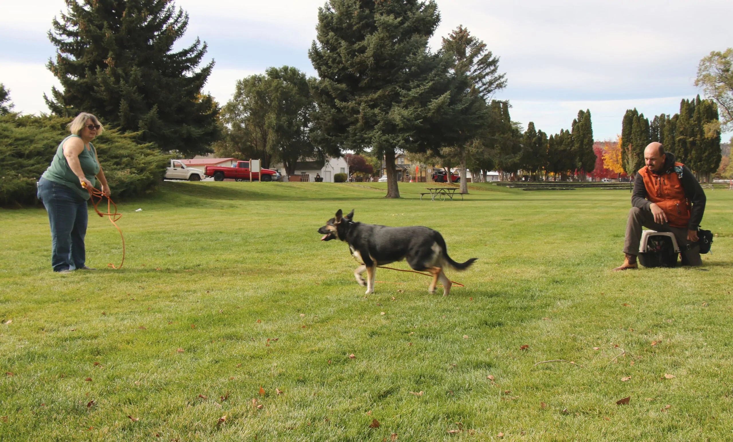 Dog Training in Central Oregon Images11_Dog Gone It K9