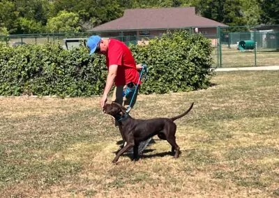 Dog Training in Central Oregon Images15_Dog Gone It K9