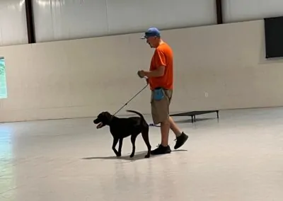 Dog Training in Central Oregon Images16_Dog Gone It K9