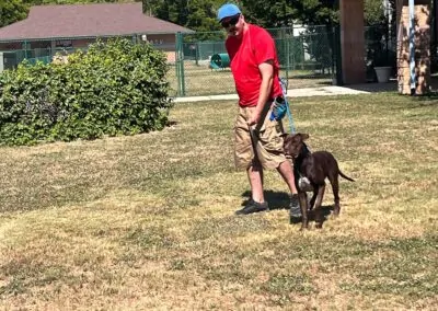 Dog Training in Central Oregon Images17_Dog Gone It K9