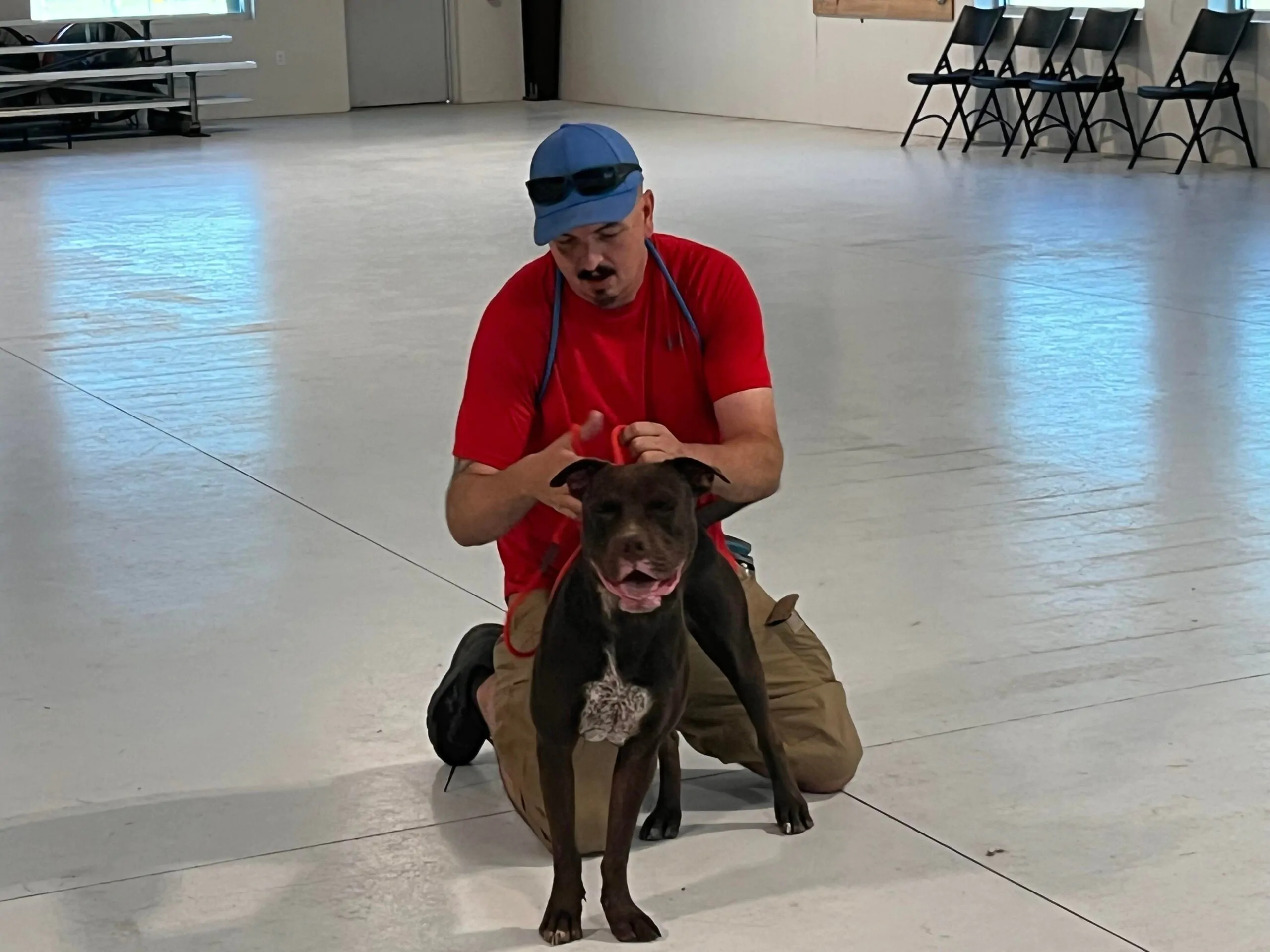 Dog Training in Central Oregon Images18_Dog Gone It K9