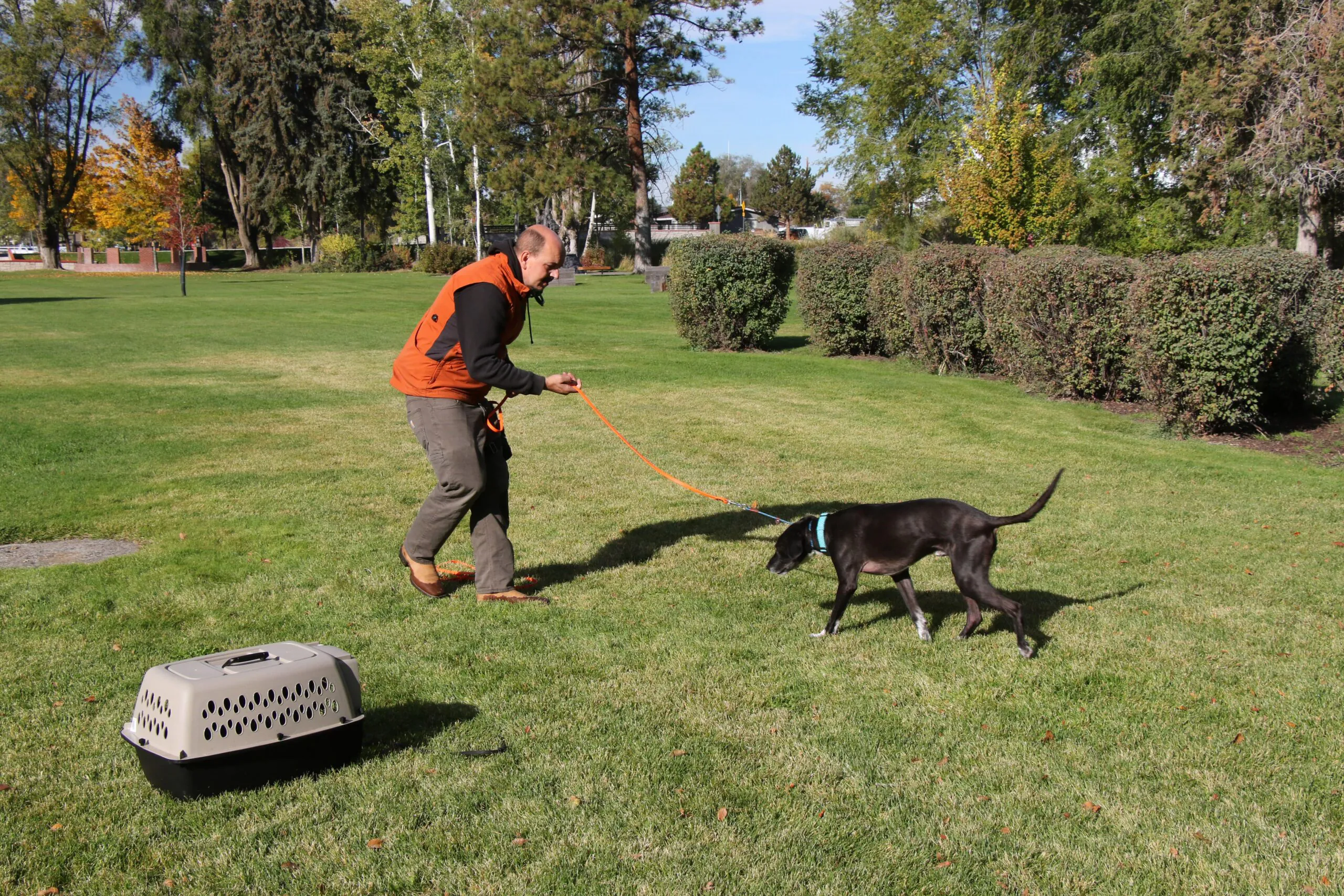 Dog Training in Central Oregon Images1_Dog Gone It K9