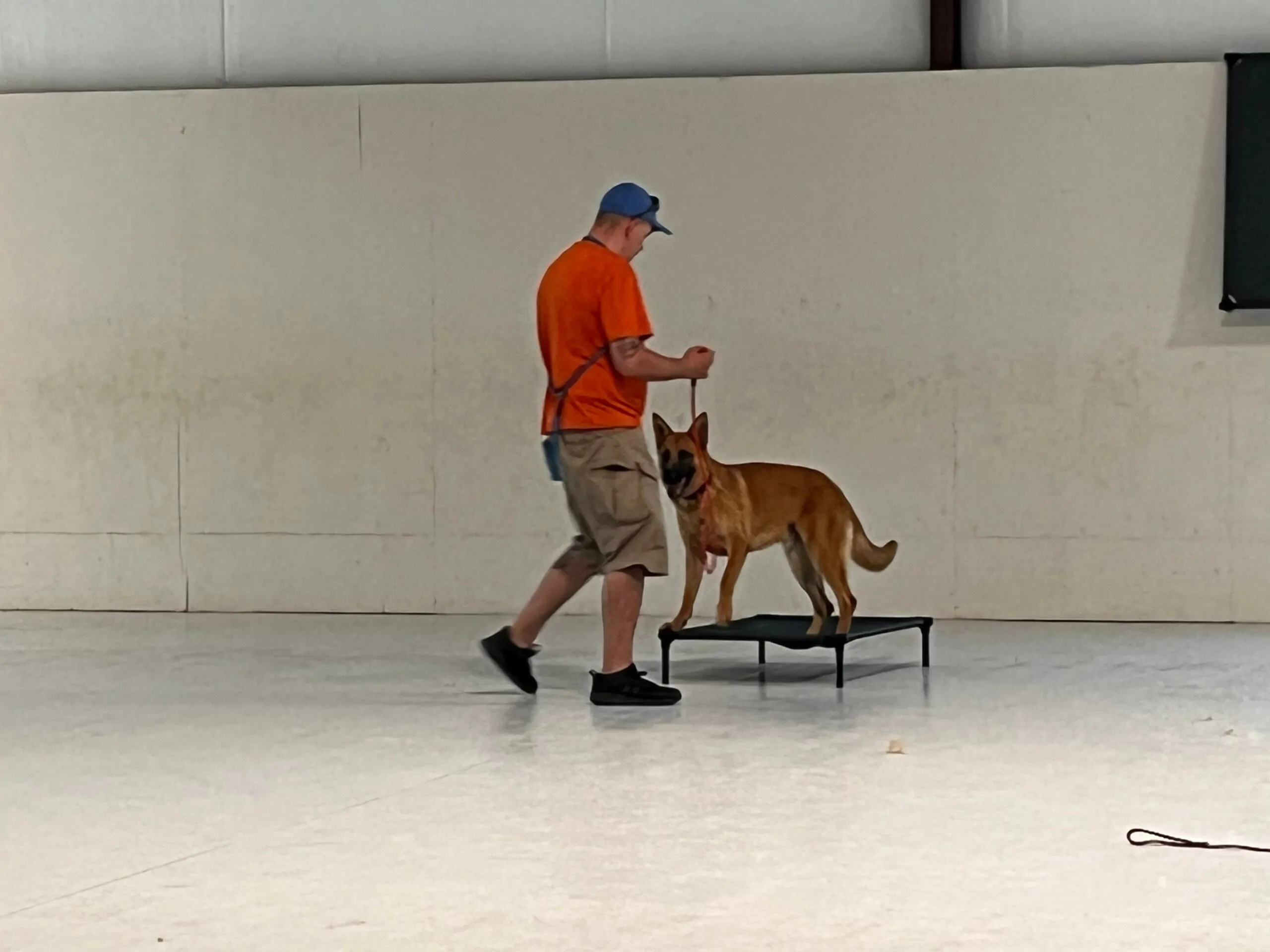 Dog Training in Central Oregon Images20_Dog Gone It K9