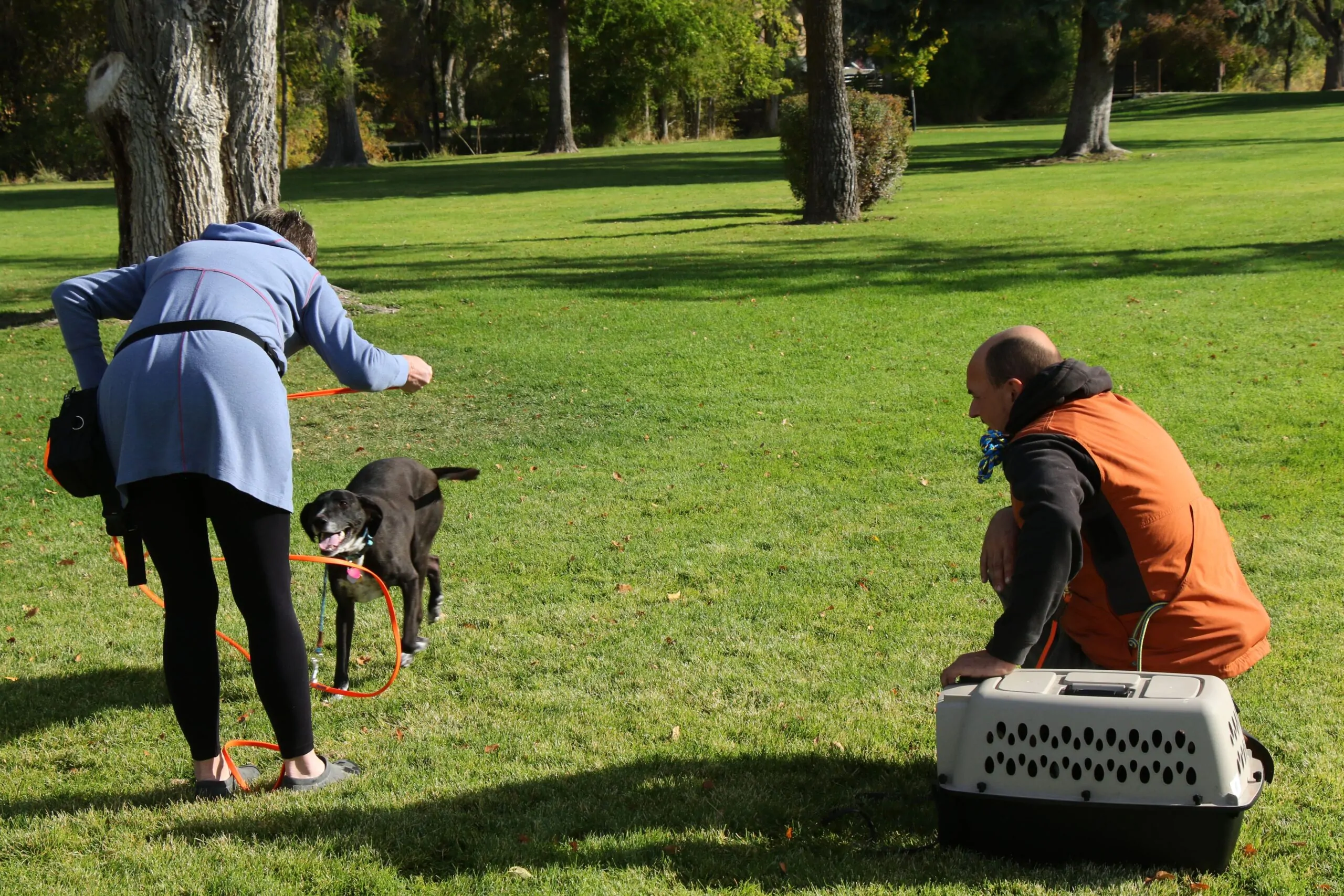 Dog Training in Central Oregon Images2_Dog Gone It K9