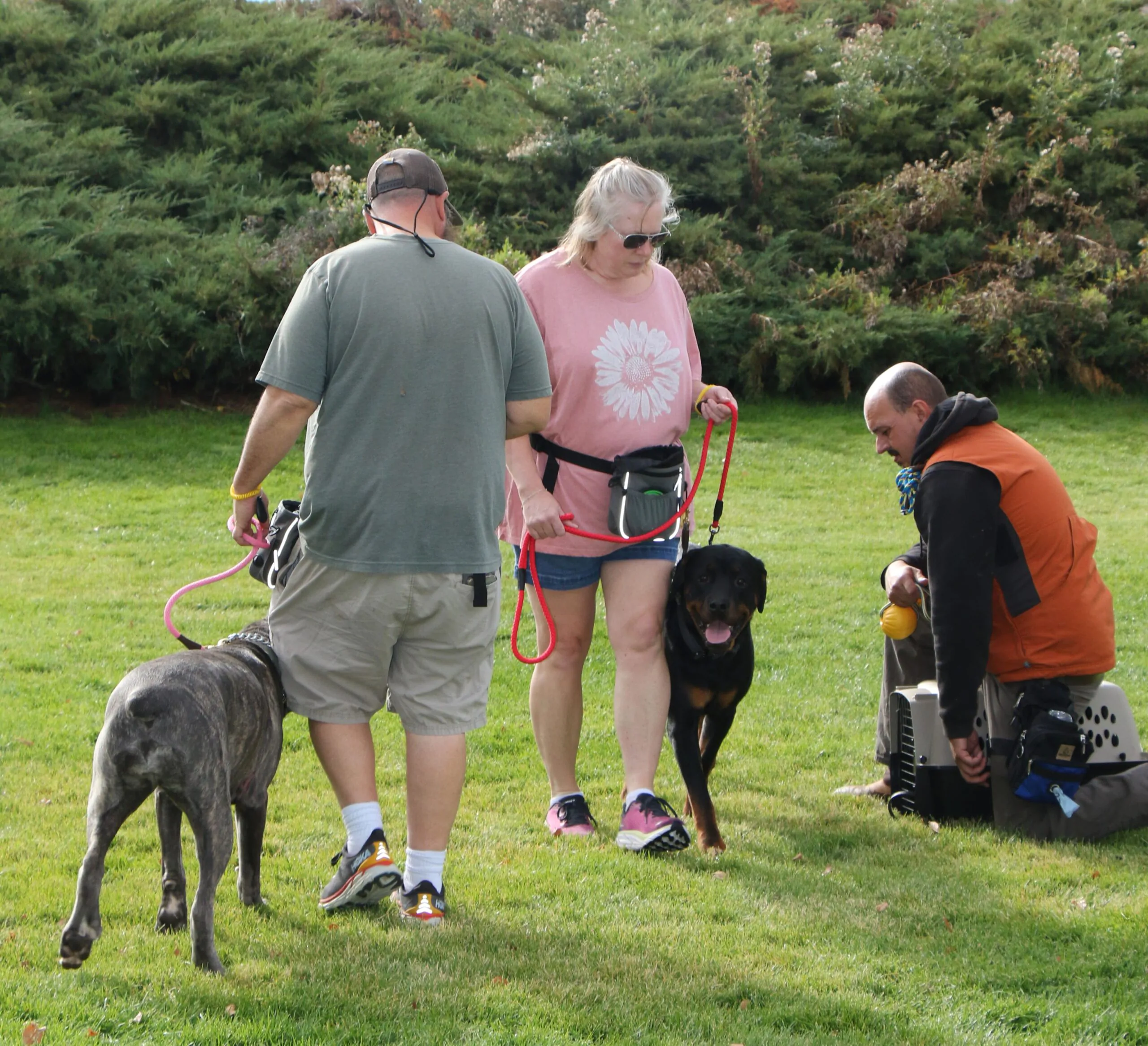 Dog Training in Central Oregon Images4_Dog Gone It K9
