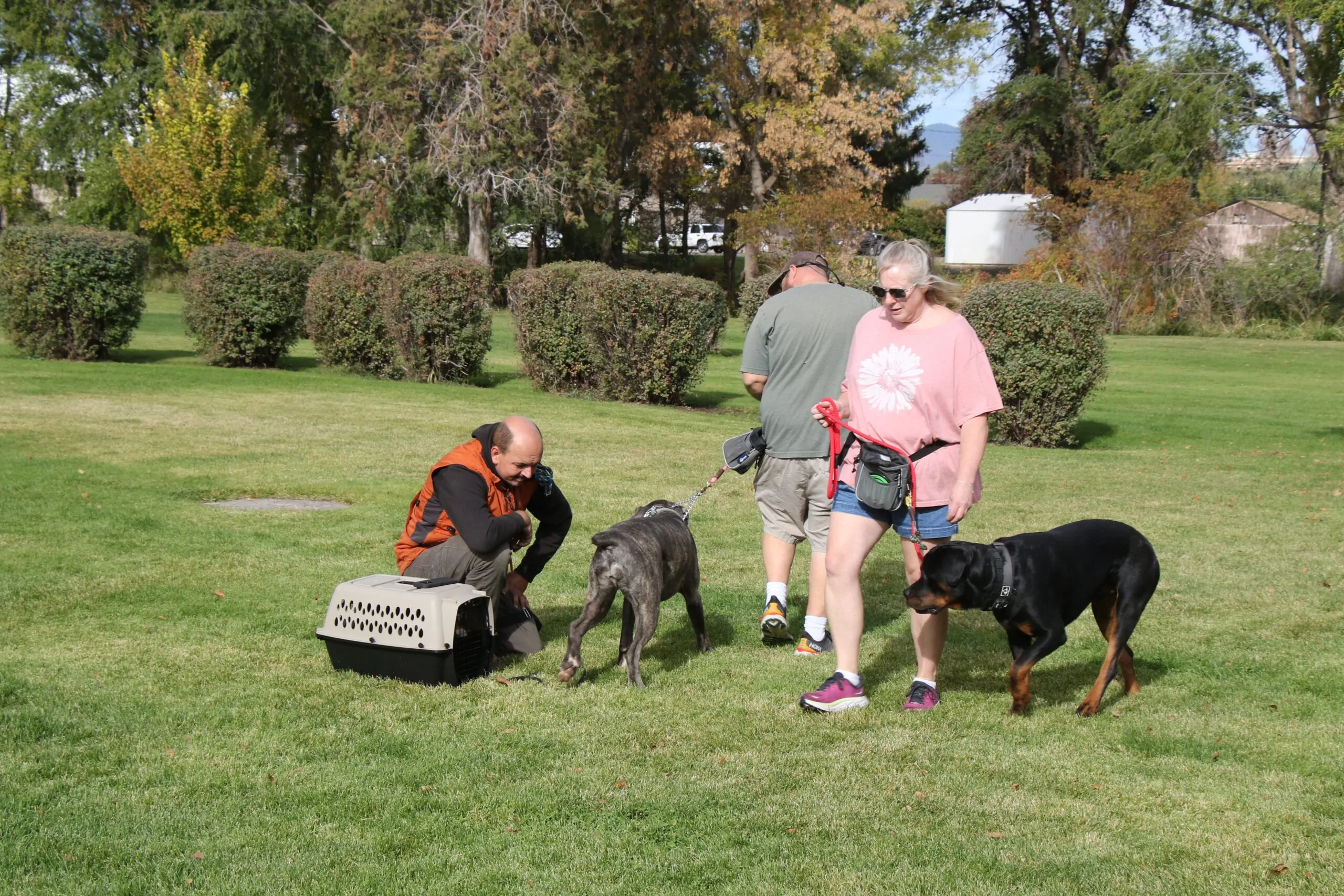 Dog Training in Central Oregon Images6_Dog Gone It K9