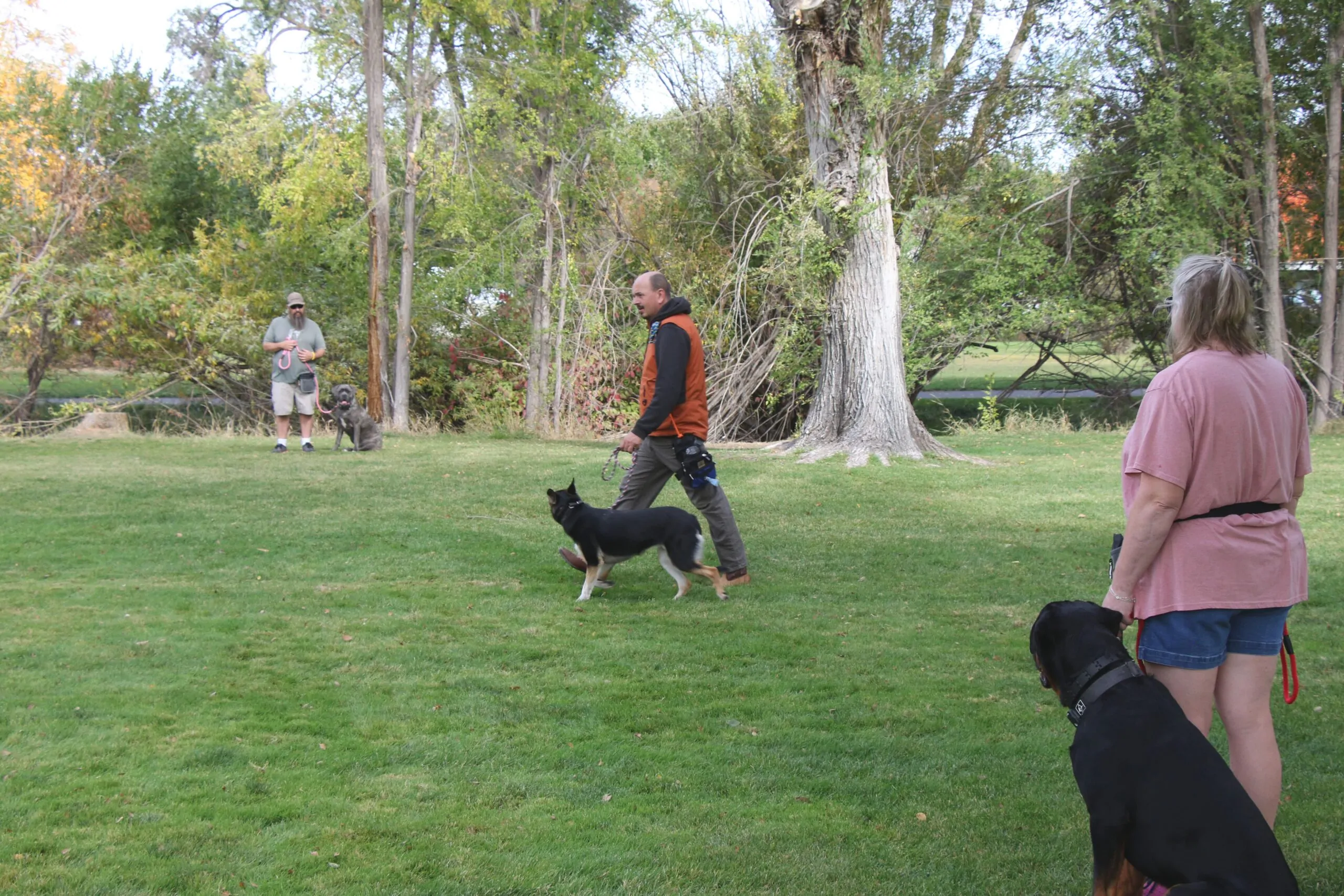 Dog Training in Central Oregon Images7_Dog Gone It K9