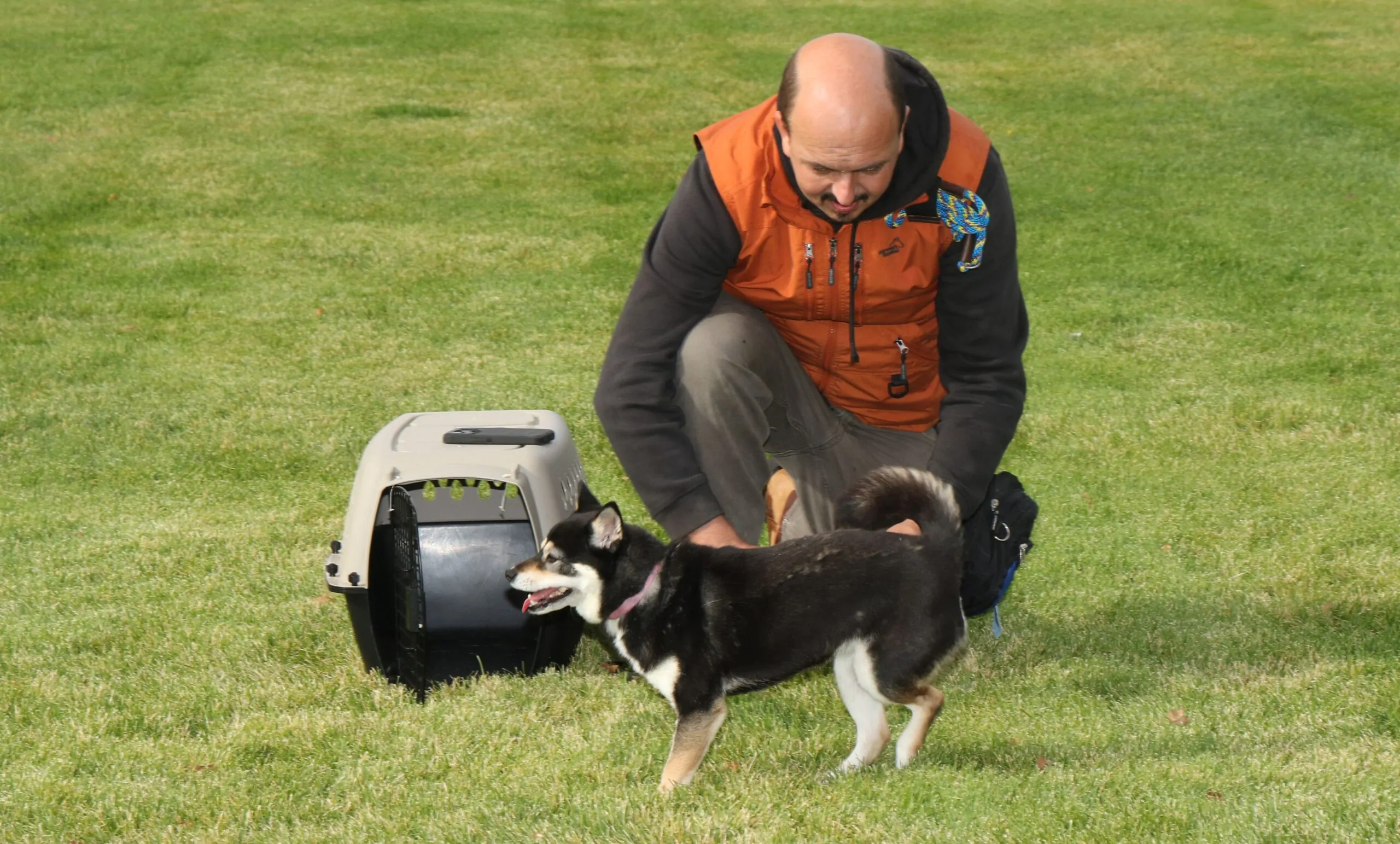 Dog Training in Central Oregon Images_Dog Gone It K9