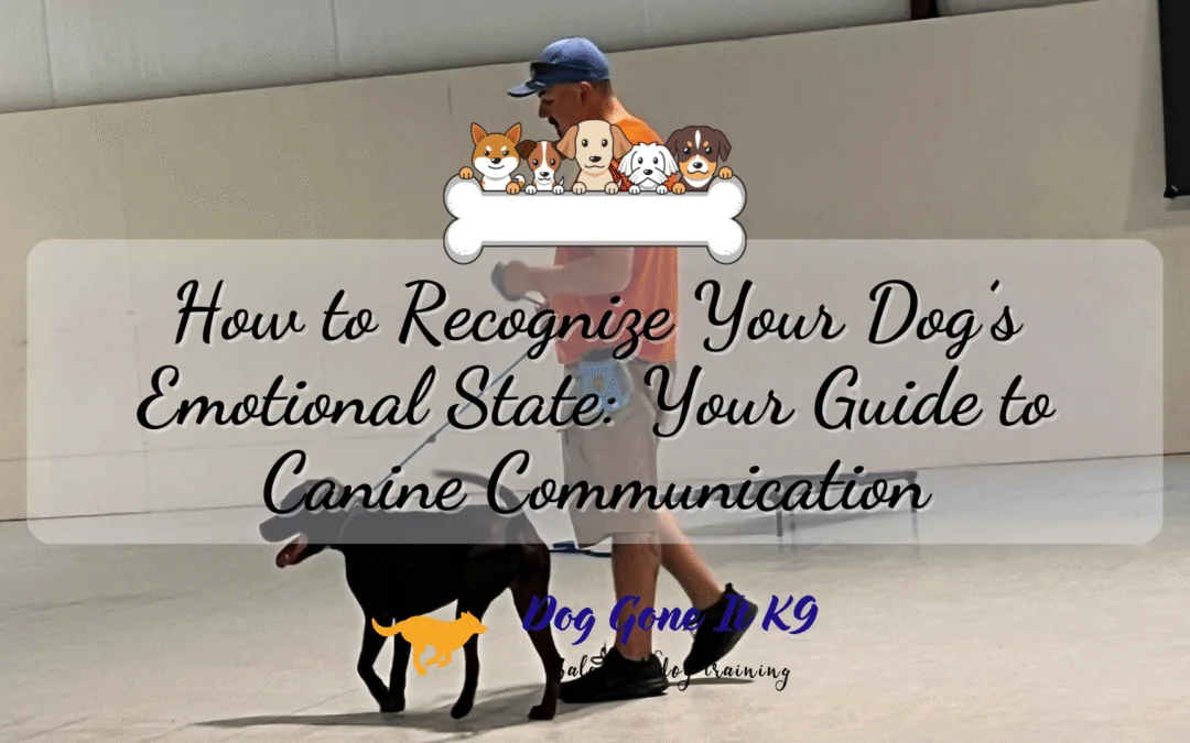 How to Recognize Your Dog’s Emotional State: Your Guide to Canine Communication