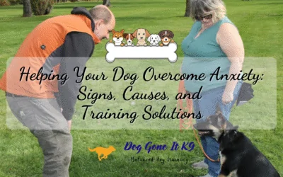 Helping Your Dog Overcome Anxiety: Signs, Causes, and Training Solutions