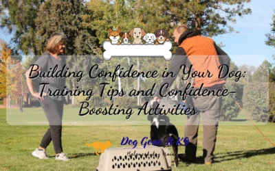 Building Confidence in Your Dog: Training Tips and Confidence-Boosting Activities