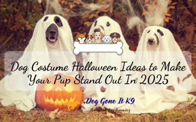 Dog Halloween Costumes: Unleash the Fun