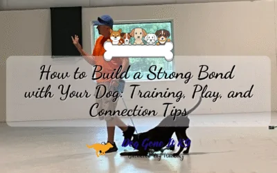 How to Build a Strong Bond with Your Dog: Training, Play, and Connection Tips