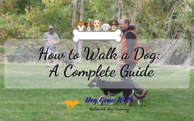 How to Walk a Dog: A Complete Guide
