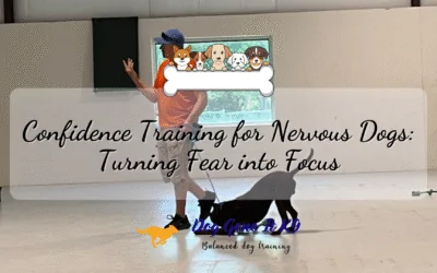 Confidence Training for Nervous Dogs: Turning Fear into Focus