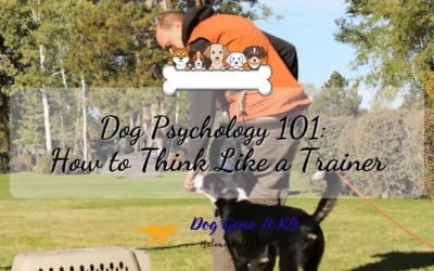 Dog Psychology 101: How to Think Like a Trainer