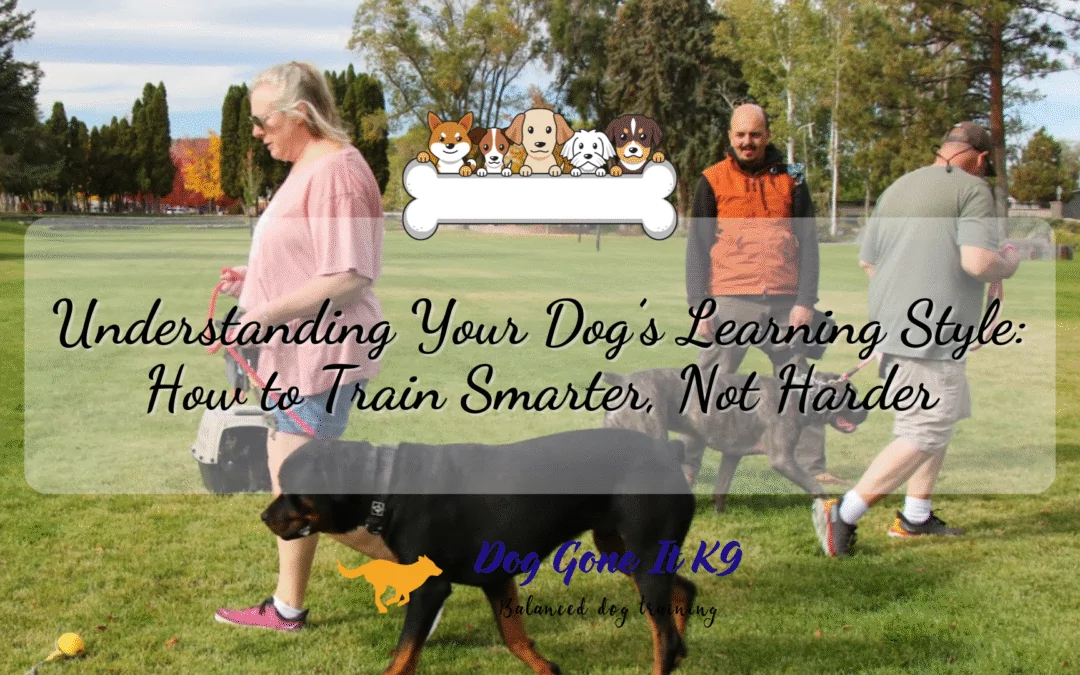 Understanding Your Dog’s Learning Style