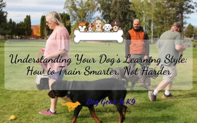 Understanding Your Dog’s Learning Style: How to Train Smarter, Not Harder
