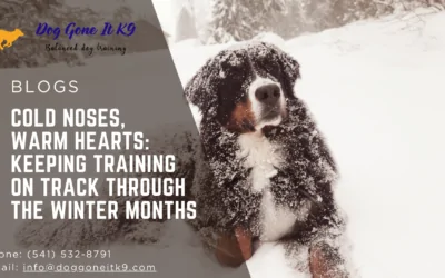 Cold Noses, Warm Hearts: Keeping Training on Track Through the Winter Months