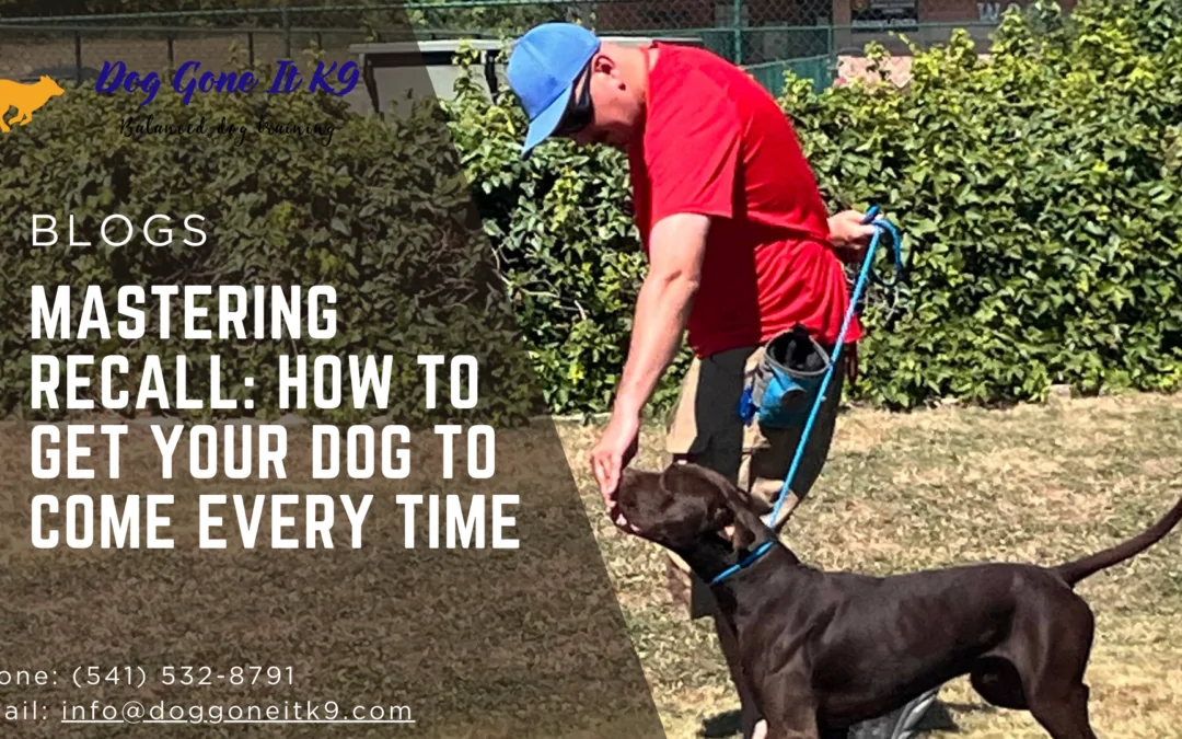 Mastering Recall - How to Get Your Dog to Come Every Time_Dog Gone It K9 LLC Dog Training Tips