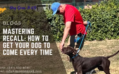 Mastering Recall: How to Get Your Dog to Come Every Time