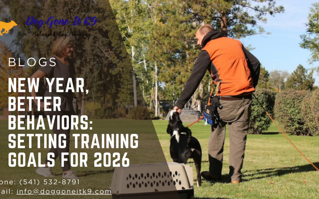 New Year Better Behaviors Dog Training Goals for 2026