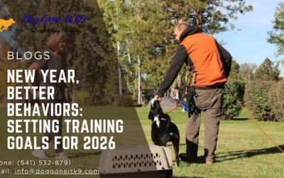 New Year, Better Behaviors: Setting Training Goals for 2026