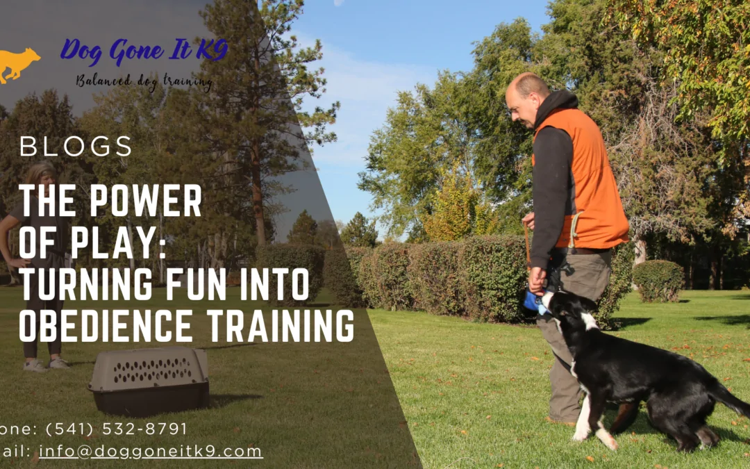 The Power of Play in Dog Training Turn Fun Into Obedience