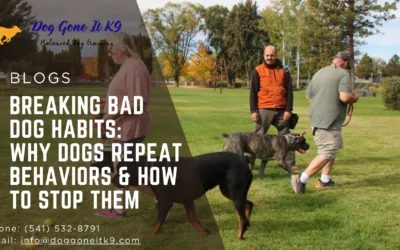 Breaking Bad Habits: Why Dogs Repeat Behaviors and How to Stop Them
