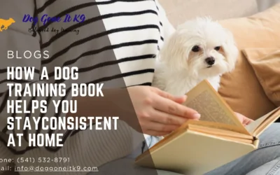 How a Dog Training Book Helps You Stay Consistent at Home