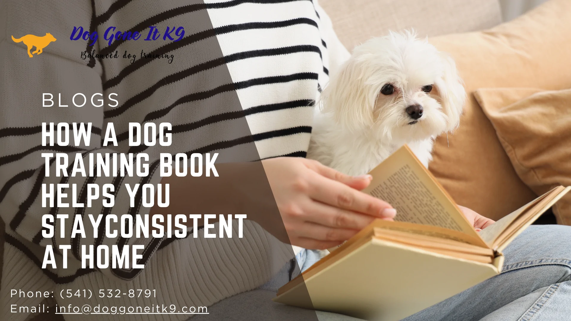 How a Dog Training Book Helps You Stay Consistent at Home