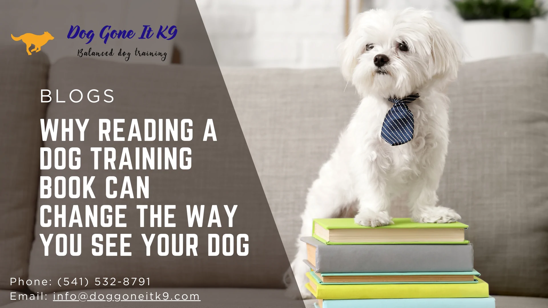 Why Reading a Dog Training Book Can Change the Way You See Your Dog