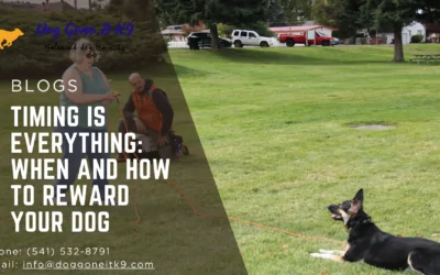 Timing Is Everything: When and How to Reward Your Dog
