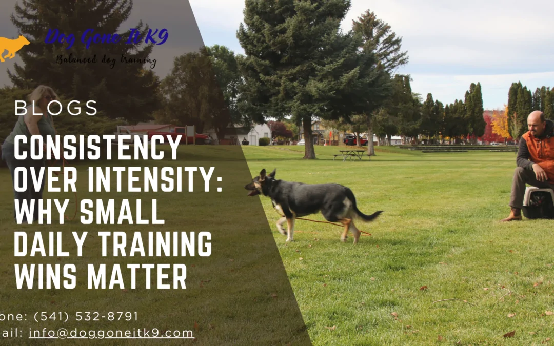 Why Small Daily Training Wins Matter